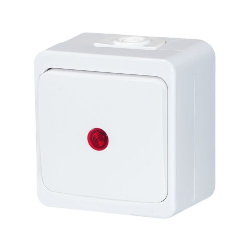 Single-pole switch s/m 10A, 250V, iluminated IP44 (WNT-1S/S)