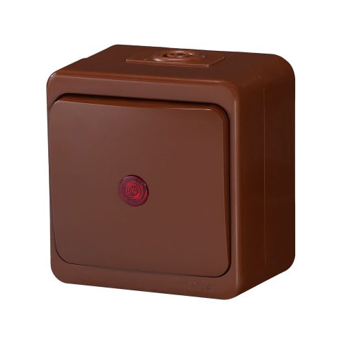 Single-pole switch s/m 10A, 250V, iluminated IP44 (WNT-1S/S)