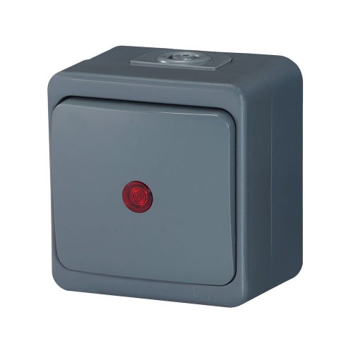 Two-way switch s/m 10A, 250V, iluminated IP44 (WNT-5S/S)