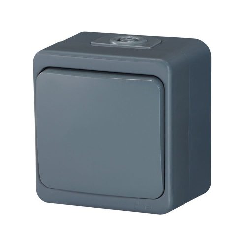 Single-pole short-cicuit switch s/m 10A, 250V light / bell, iluminated IP44 (WNT-6/7SS)