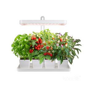 Plant grow light LED BLOOM 20W 3500K Kobi Design Plant grow light LED BLOOM 20W 3500K Kobi Design