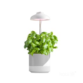 Plant grow light LED VERDI 5W 3200K Kobi Design Plant grow light LED VERDI 5W 3200K Kobi Design