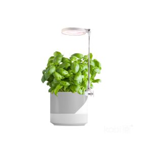 Plant grow light LED VERDI 10W 3200K Kobi Design Plant grow light LED VERDI 10W 3200K Kobi Design