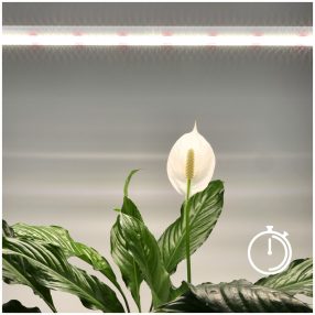 LED növénynevelő lámpa LED GROWLY 15W – Kobi Design LED növénynevelő lámpa LED GROWLY 15W – Kobi Design