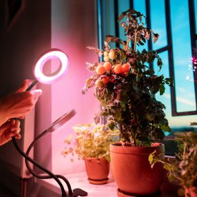 LED növénynevelő lámpa LED VITARO RING 2 csiptetős 8W – Kobi Design   LED növénynevelő lámpa LED VITARO RING 2 csiptetős 8W – Kobi Design