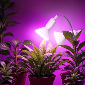 Table lamp PLANTY CLIP W DUO 1xE27 white Kobi Design Table lamp PLANTY CLIP W DUO 1xE27 white Kobi Design