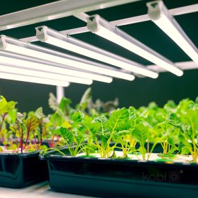 LED növénynevelő lámpa LED GROWLY 9W – Kobi Design LED növénynevelő lámpa LED GROWLY 9W – Kobi Design