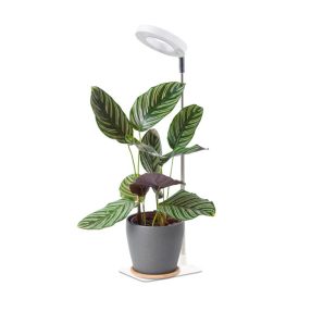 Plant grow light LED VERDI V2 5W 1300K white Kobi Design fehér   Plant grow light LED VERDI V2 5W 1300K white Kobi Design fehér