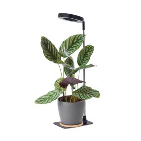 Plant grow light LED VERDI V2 5W 1300K Kobi Design fekete Plant grow light LED VERDI V2 5W 1300K Kobi Design fekete