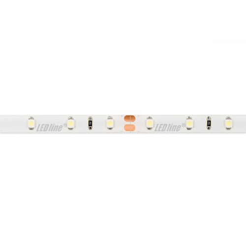 LEDline® strip 300 SMD 24V 6500K 4,8W IP65 