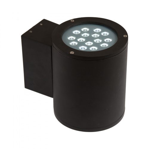TORRE   2x15LED CREE 15deg 230V 30W IP44 CW wall-mounted