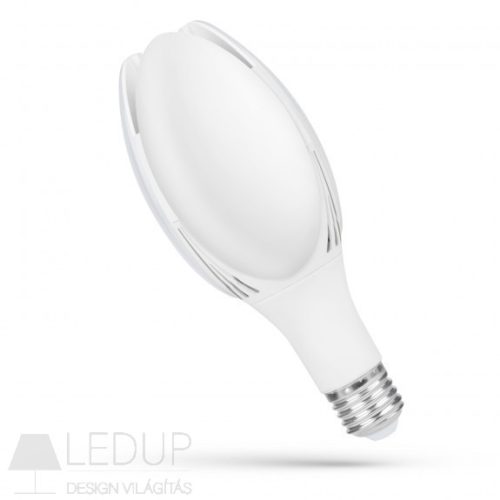 LED PARK LAMP ECO 50W E27 IP20 NW